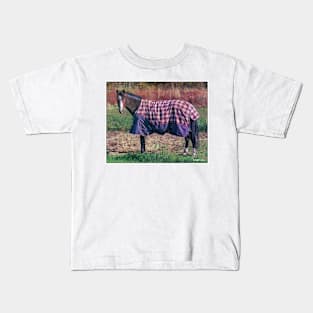 Horse in a Blanket Kids T-Shirt